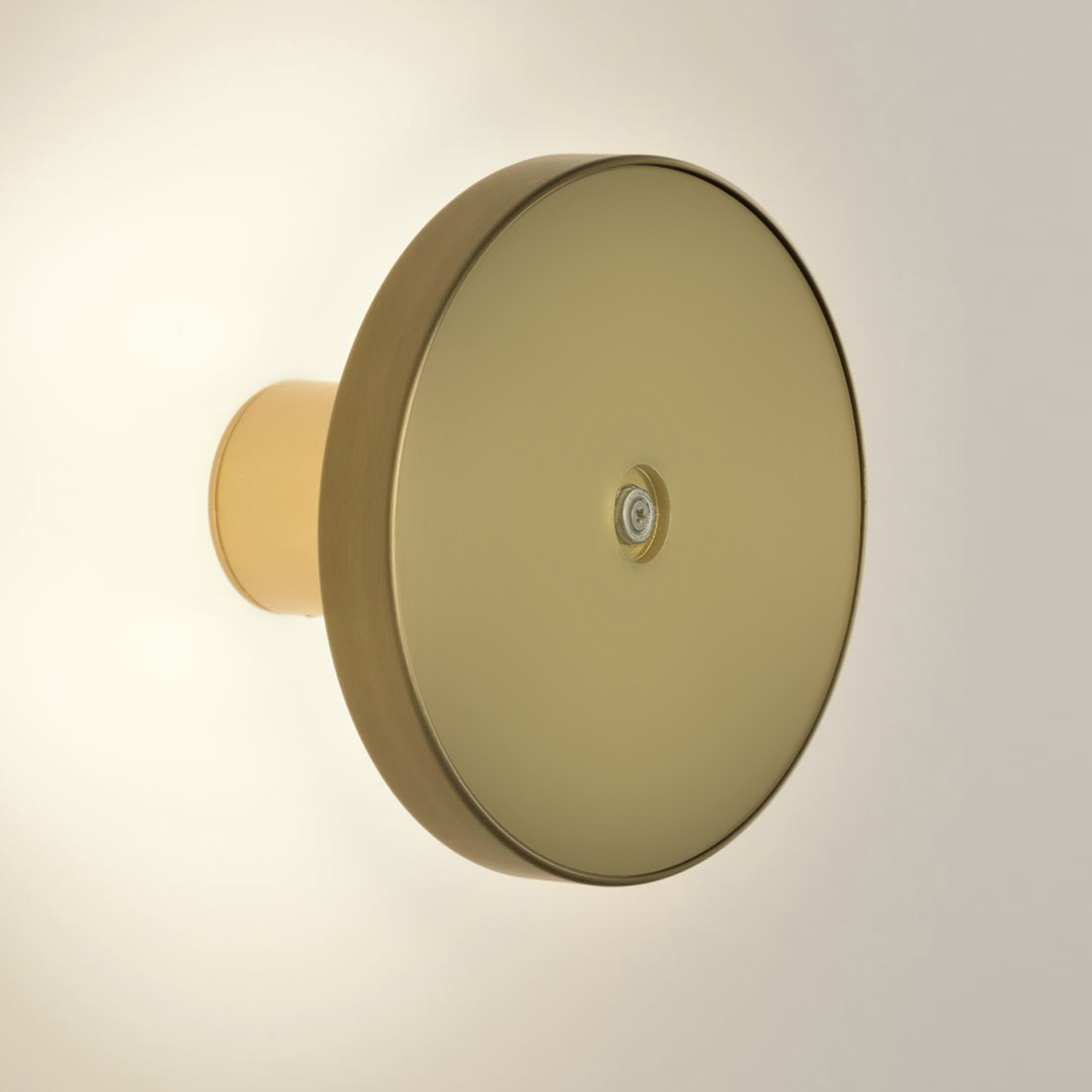Chamaleon Wall Lamp