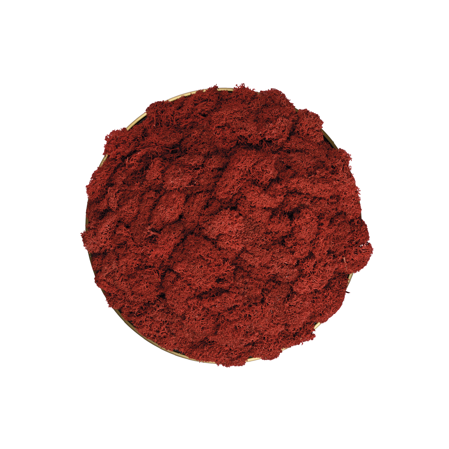 Red Moss